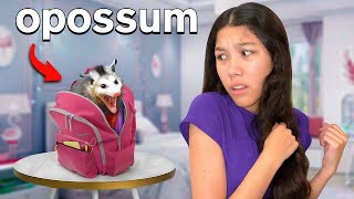 We FOUND A HUGE Opossum In Our HOUSEShocking [upl. by Custer]