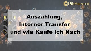 BitHarvest  Auszahlung Interner Transfer und wie Kaufe ich Nach [upl. by Htor99]