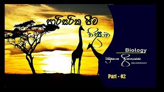 පාරිසරික ජීව විද්‍යාව Part  02 [upl. by Ikkim]