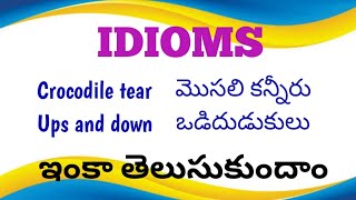 IDIOMS their importance in English [upl. by Xymenes63]