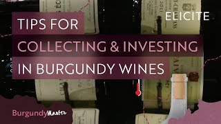 Tips For Collecting amp Investing In Burgundy Wines [upl. by Aushoj]