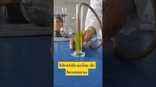 Identificación de bromuro quimicainorganica ciencia [upl. by Notgnillew]