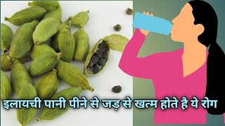 इलायची पानी पीने से जड़ से खत्म होते है ये रोग। Elaichi Ka Pani Peene Ke Fayde TheHealthyTips [upl. by Jola]