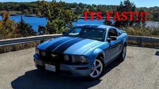 GT500 Mustang vs Supercharged GT350 Mustang  Roll Race Comparison [upl. by Kcirdahs465]