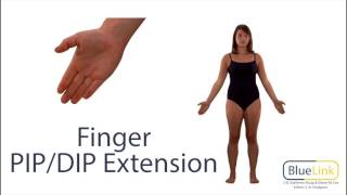 Proximal and Distal Interphalangeal Joints Flexion and Extension [upl. by Hendrick]