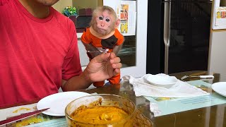 Super monkey Bibi obediently helps dad make pumpkin pie [upl. by Hazeefah620]