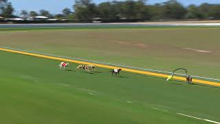 Bundaberg09092024Race7 [upl. by Aroda]