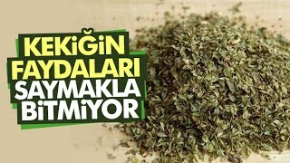 Kekiğin İnanılmaz Faydaları Şaşıracaksınız [upl. by Ennahs]