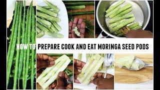 Moringa Oleifera Seed Pods Drumstick Tree Pods How To Prepare Cook And Eat Superfood [upl. by Penney]