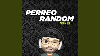 Perreo Random [upl. by Hines171]