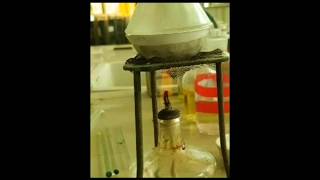 Sublimation of Naphthalene chemistryytshortsviral chemistrypractical [upl. by Routh935]