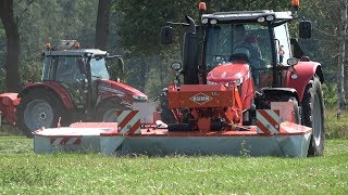 Kuhn voederwinning demonstratie met Massey Ferguson trekkers door Reesink Agri amp LMB Veldman 2019 [upl. by Major]