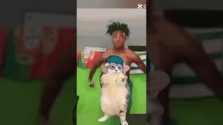 What is I show speed doing to the cat [upl. by Dachy]