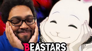 PREDATOR AND PREY  Beastars Season 1 Episode 5 REACTION [upl. by Jutta]