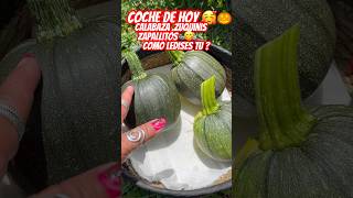 Cosecha de hoy calabaza como la conoses Tu  Receta pronto de una deliciosa crema de calabaza 😋 [upl. by Sakovich666]