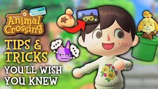 Tips amp Tricks I WISH I Knew Sooner in Animal Crossing New Horizons [upl. by Ainat]