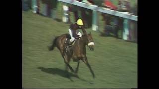 1977 Grand National  Red Rums third victory [upl. by Atinnek905]