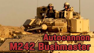 Американская пушка M242 Bushmaster  Обзор [upl. by Odlanyar]