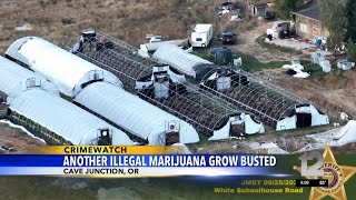 Josephine Co Sheriffs Office says it made arrest at licensed marijuana grow site [upl. by Bernelle162]