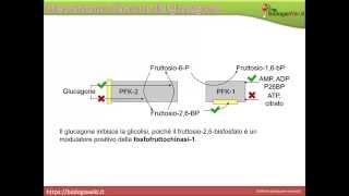 LM317 come regolatore di TENSIONE o CORRENTE How to  Fai da te LM317 [upl. by Netsyrk]