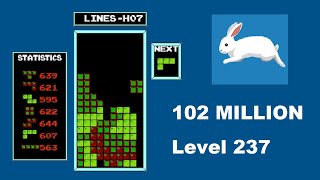 AI BREAKS NES TETRIS  102 MILLION and level 237 [upl. by Zerline265]