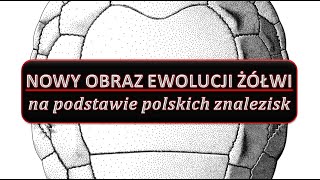 Nowy obraz ewolucji żółwi na podstawie polskich znalezisk  dr Tomasz Szczygielski [upl. by Luhem248]