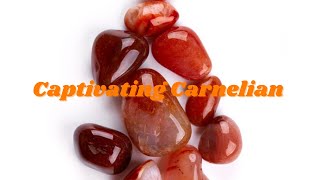 Captivating Carnelian [upl. by Ertnod]