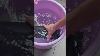 💧 JBL Waterproof Test  Deep Water Check 🌊 IPX7 Ratingjblbasstest jblspeaker [upl. by Ahsirat]