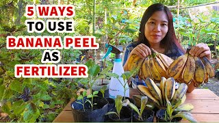 BALAT NG SAGING EPEKTIBONG PATABA SA HALAMAN AT GULAY  5 WAYS TO MAKE BANANA PEEL FERTILIZER [upl. by Ereveneug]