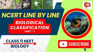 NCERT line by line  Biological Classification Part 1  class 11 NEET biology [upl. by Sualkcin]