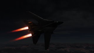 F14 RIO PVP Day and Night [upl. by Negah]