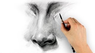 How to Draw a Nose  Step by Step [upl. by Annavahs930]