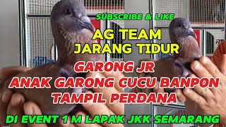 GARONG JRquotAMUNISI BARU AG TEAM JARANG TIDURGARONG AG quotEVEN 1 M JKK SEMARANG [upl. by Stoller]