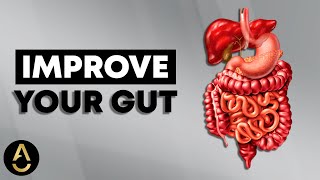 How To Make Your Gut Healthy and Support Good Bacteria [upl. by Yenobe]