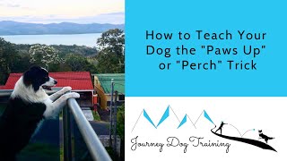 How to Teach Your Dog the quotPaws Upquot or quotPerchquot Trick [upl. by Orsola]