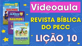 Revista Bíblica Infantil  LIVRO DE SALMOS  Lição10 [upl. by Elleynad641]