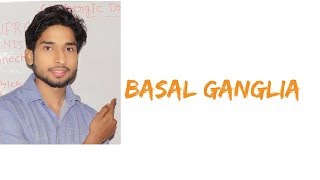 Basal Ganglia in Hindi [upl. by Lledualc]