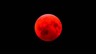 Lunar Eclipse 2011 Amazing Next Lunar Eclipse Video Will turn moon BLOOD RED like this [upl. by Enyawd]