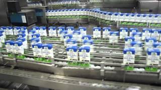 Tetra Pak TBA8  1000Slim Aseptic Filling amp Packaging Line Operation [upl. by Sinylg870]