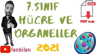 2021 FEN BİLİMLERİ 7 SINIF HÜCRE VE ORGANELLER  PDFfenbilen [upl. by Ayokal657]