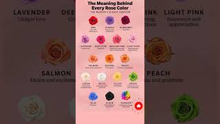 The meaning of rose colors  The meaning behind of every rose colors [upl. by Aniham]