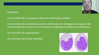 Hematologia Aula 06 Monócitos Vídeo aula [upl. by Romeu]