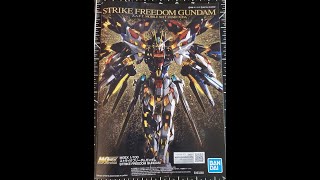 Master Grade Extreme Strike Freedom Gundam Review [upl. by Amelus]