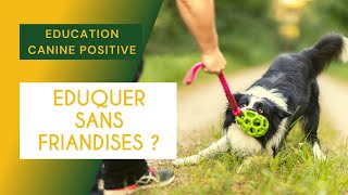 5 ÉDUCATION CANINE POSITIVE  Éduquer sans friandises [upl. by Mellman]