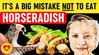 Horseradish Benefits Harm Risks Properties Recipe side effects and precautions [upl. by Rodney]