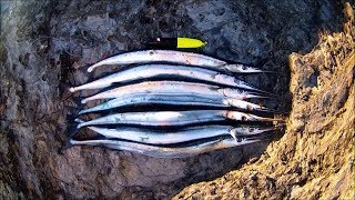 Shore Fishing  GARFISH  Float Spinning and Float Fishing vs Spinning [upl. by Deelaw]