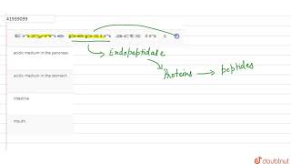 Enzyme pepsin acts in [upl. by Lyndes]