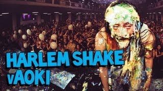 Harlem Shake vAoki [upl. by Birchard323]