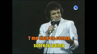 José José  Gavilán o paloma Karaoke [upl. by Tymothy]