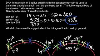 How to Calculate Cotransformation frequency of bacteria [upl. by Baecher611]